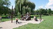 Dsc01185-kopirovat