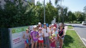 Dsc03977-kopirovat Dsc03977-kopirovat